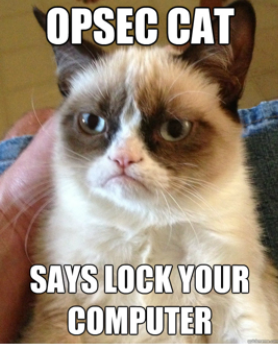 OpSec Cat Image